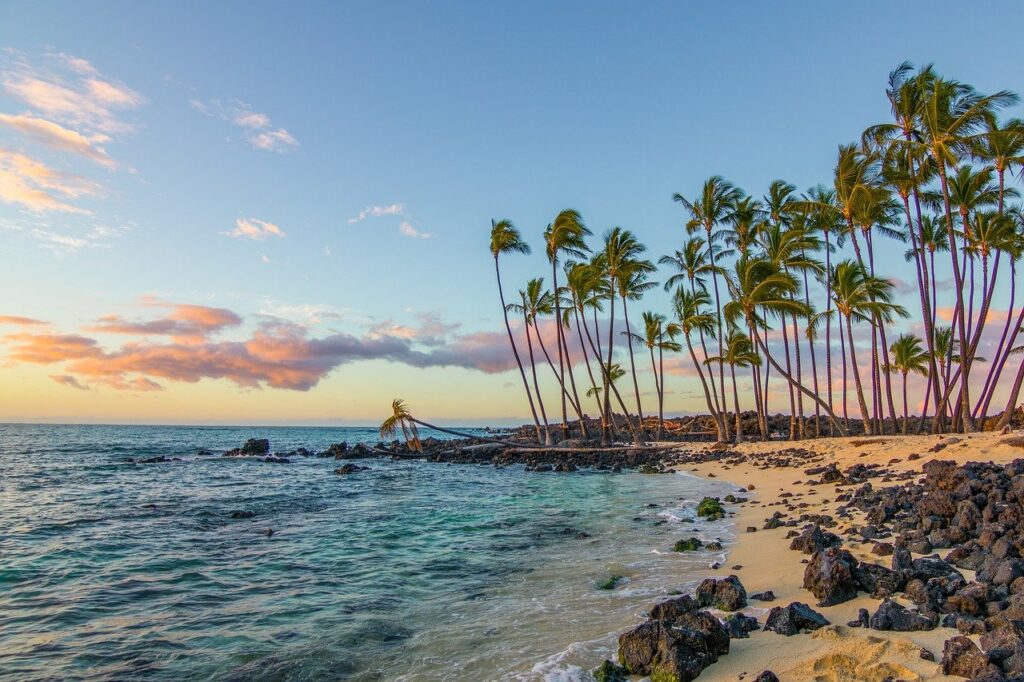 beach, nature, ocean-8352859.jpg